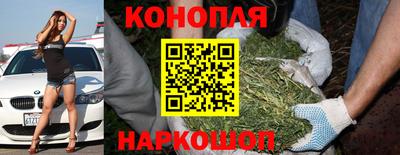 a pvp Ирбит