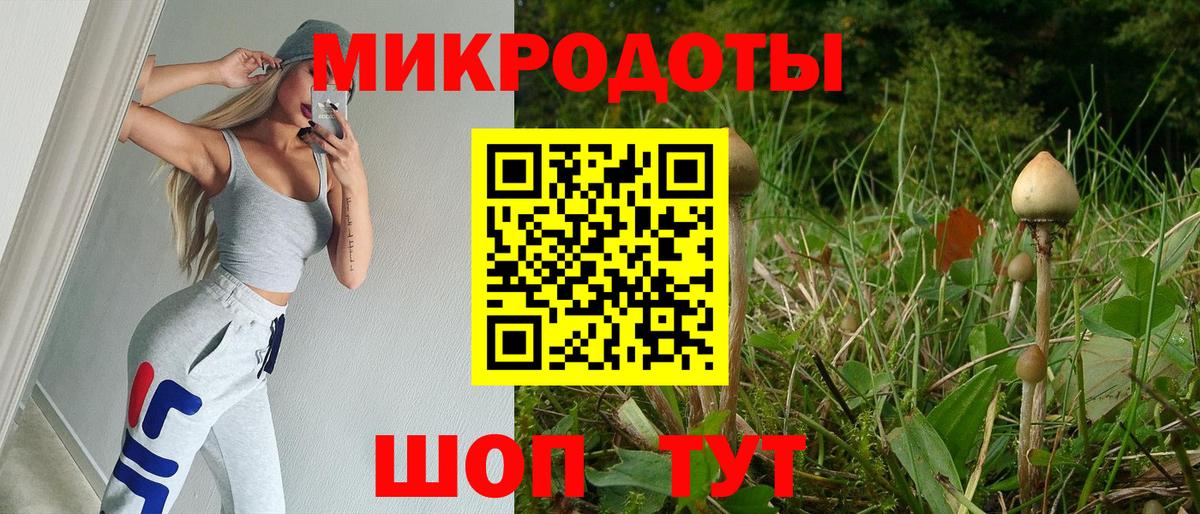 Псилоцибиновые грибы Psilocybe Кумертау