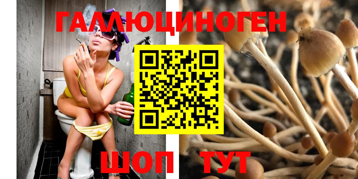 Галлюциногенные грибы Psilocybe  Псилоцибиновые грибы мухоморы  Кумертау  Вход с VPN 